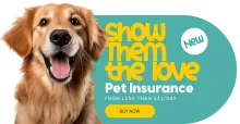 New Product Promo - Pet Insurance