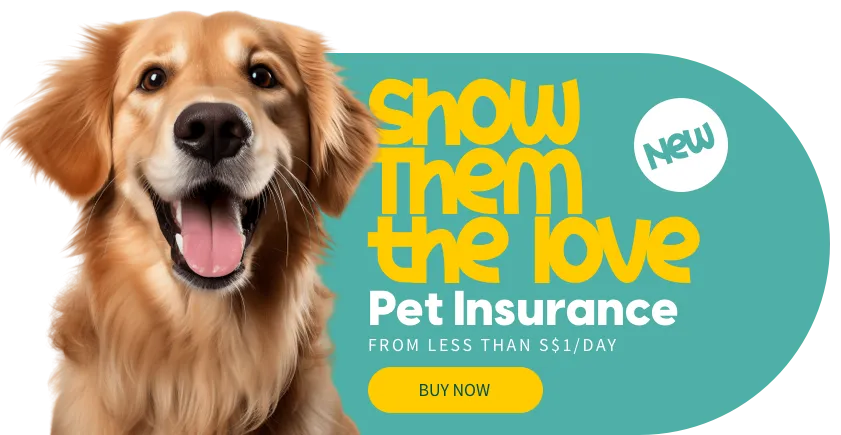 New Product Promo - Pet Insurance
